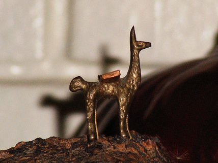 Llama Inca