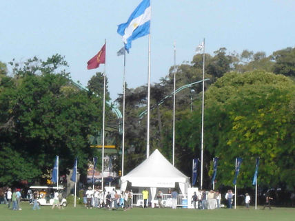 Mejor polo del mundo 4