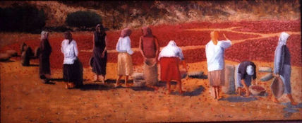 Recoleccion de la ñora