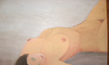 desnudos