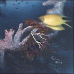 Coleccion 2007 thumbnail 2