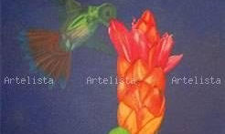 AVES