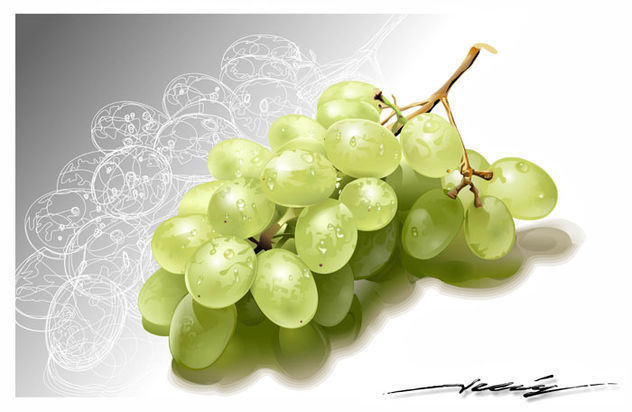 Uvas