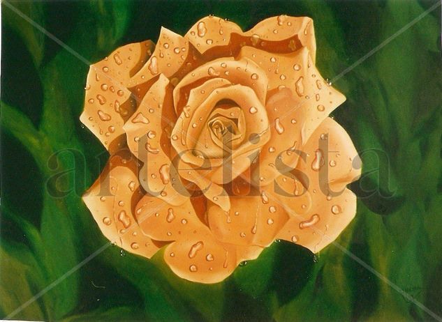 Rosa y rocío Oil Panel Floral Painting