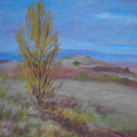Paisaje thumbnail 1