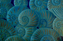 Nautilos