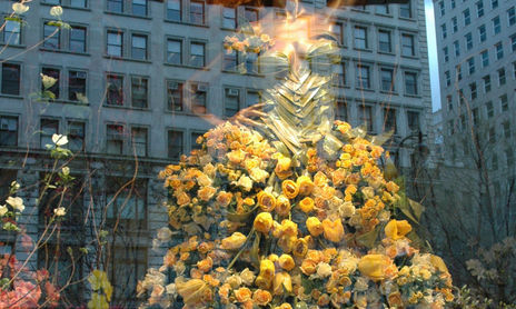Reflejos y Reflexiones