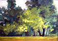 bosque