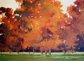 bosque en otoño
