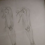Anatomia thumbnail 2