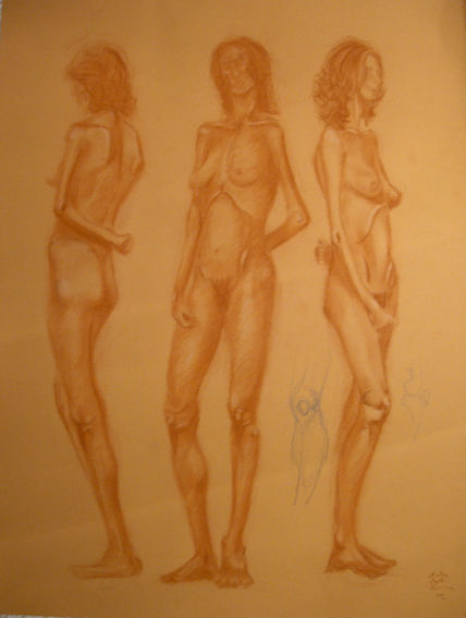 Anatomia 9
