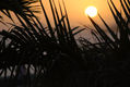 ATARDECER