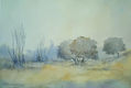 Niebla