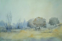 Niebla