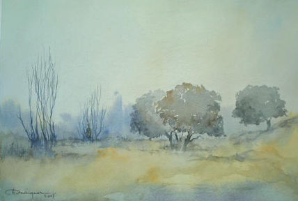 Niebla