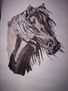 caballo