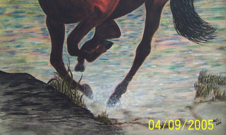 Caballos