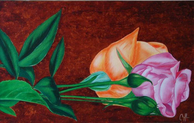 rosas Oil Canvas Others