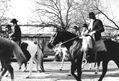 serie gaucho3