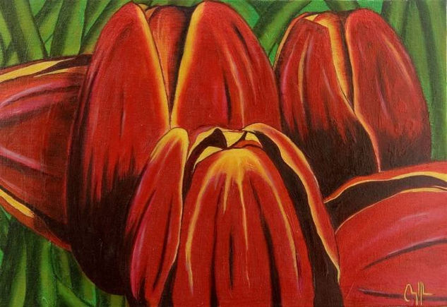 tulipan silvestre Oil Canvas Others