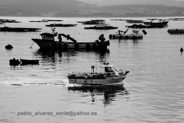 BATEAS DE MEJILLONES 