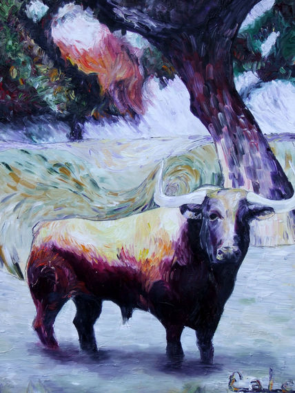 Atardecer Taurino