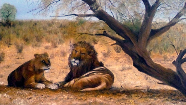 A la Sombra Oil Canvas Animals