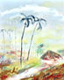 palmas3