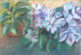 Rododendro