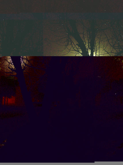 Niebla