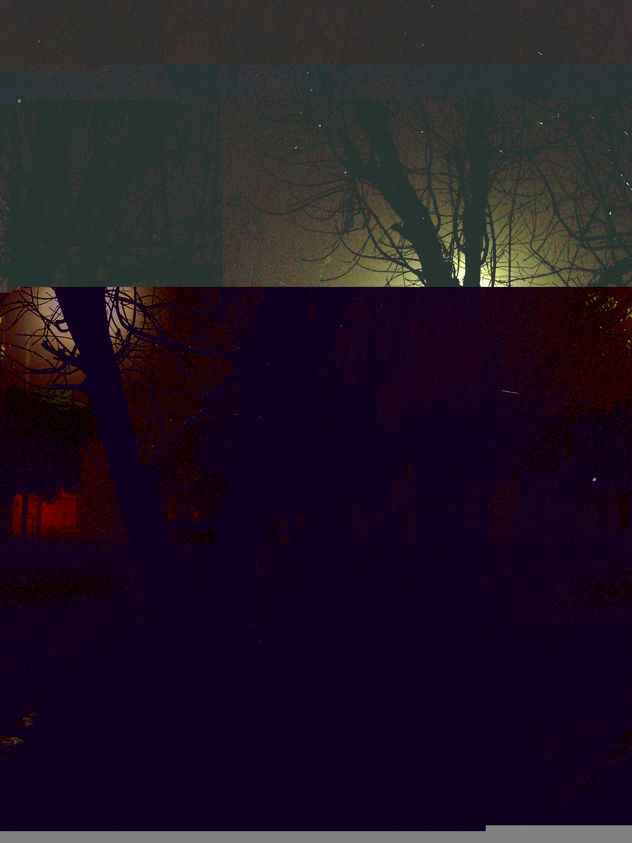 niebla