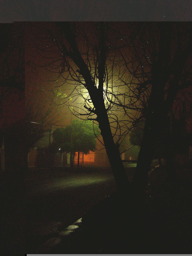 niebla