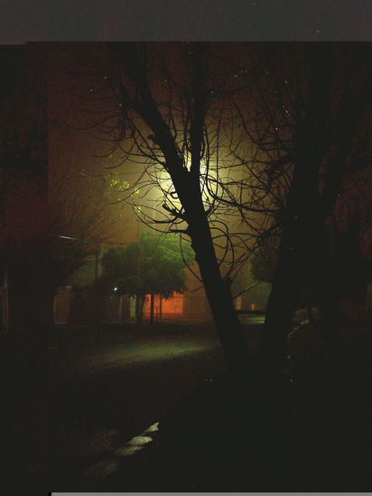 niebla 