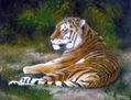 Descanso del Tigre