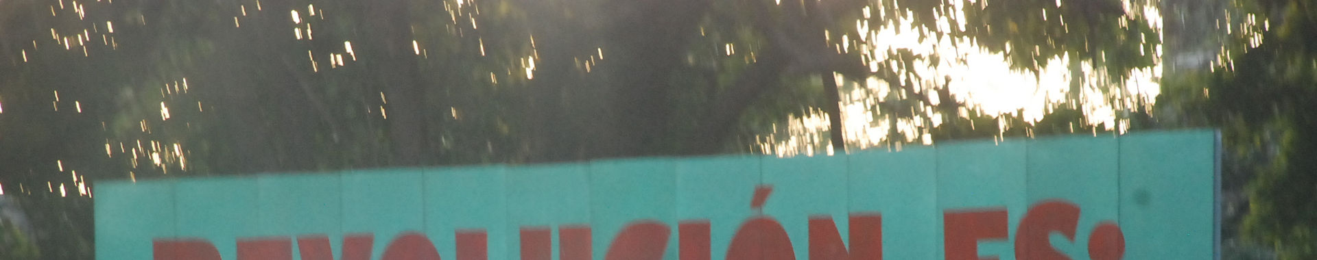 Imagen de portada