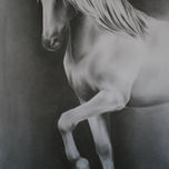 Coleccion Caballos 2009-2010 thumbnail 2