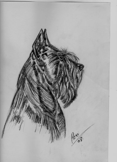 boris 