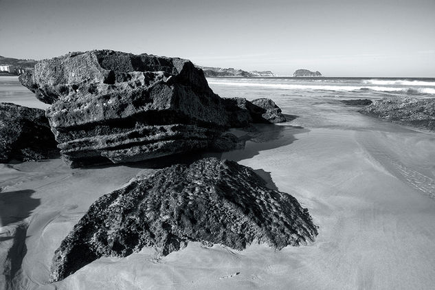 ...y al fondo, el raton de Guetaria Naturaleza Blanco y Negro (Digital)