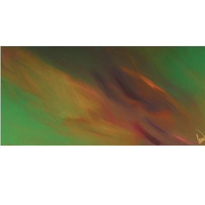 Colibríes