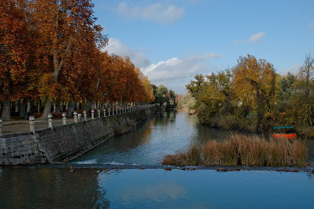 RIO TAJO ARANJUEZ Naturaleza Color (Digital)