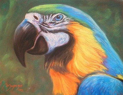 guacamaya azul