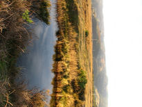 Río en el mar