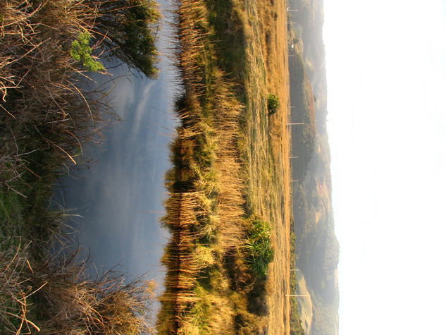 Río en el mar 