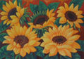 Girasoles con rocio