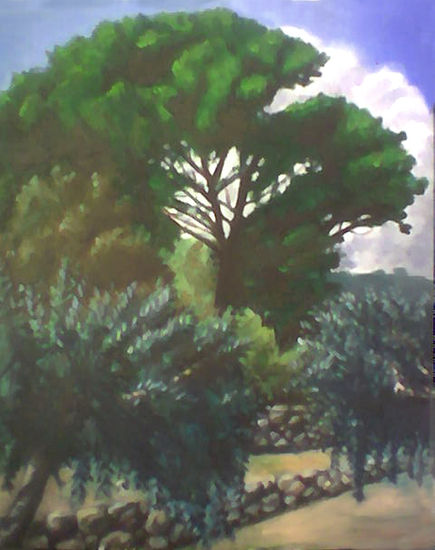 Pi a sobre d'Oliveras Oil Canvas