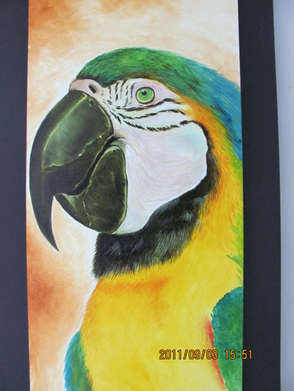 guacamaya 