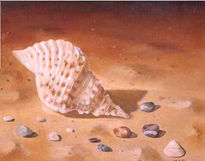 "Caracola"