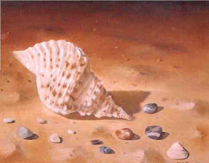 "Caracola"