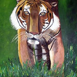 animales thumbnail 1