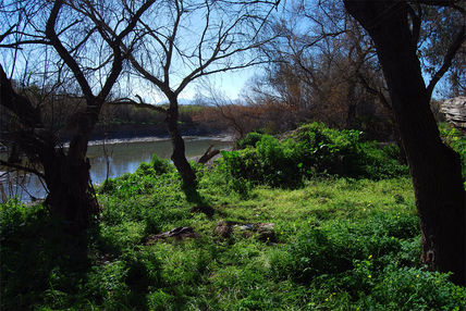 A orillas del río...